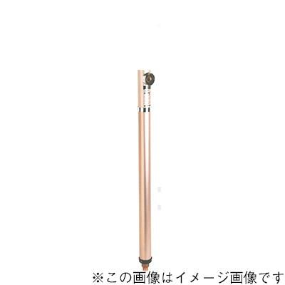 ガーデンライト付き不凍水栓栓(円柱型) <ARSN-L>