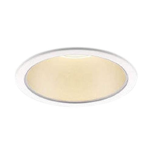 LEDダウンライト <AD49556L>