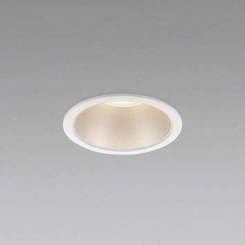 LED防雨防湿ダウンライト <AD>