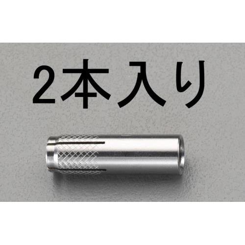 W5/16"x 30mm 雌ネジアンカー(ステンレス製/2本)