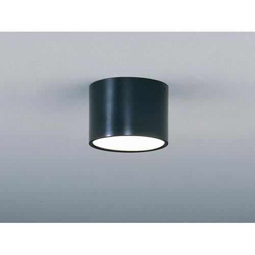 小形シーリング