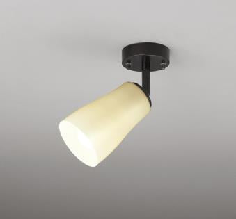 波佐見焼 スポットライト