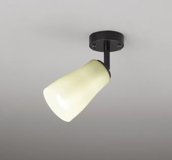 波佐見焼 スポットライト