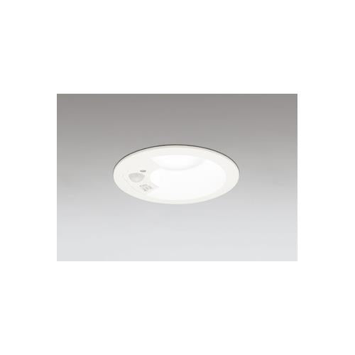 ベースダウンライト