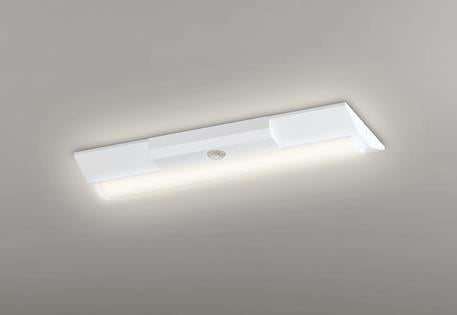 非常用照明器具 直付型ベースライト20形 逆富士型230 非調光