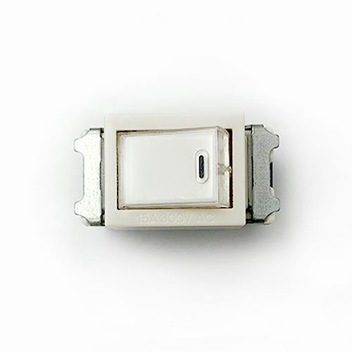 フルカラー 埋込ネームスイッチ(片切) <WN5061>