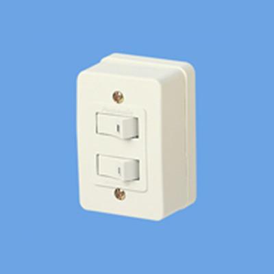 角型タンブラスイッチ ダブル <WS3900W>