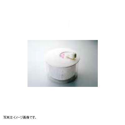 pdp-desc carousel img