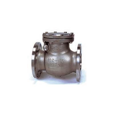 スイングチェッキバルブ <10-UNSF-VA>