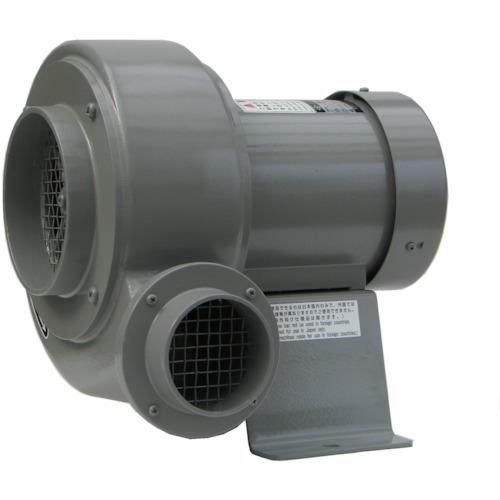 淀川電機 電動送風機 シロッコ型 CNシリーズ(普通脚) 三相200V (0.75kW・IE3モータ) CN6TP