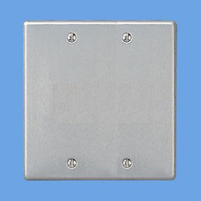 フルカラー 新金属カバープレート2連用 <WN7592>