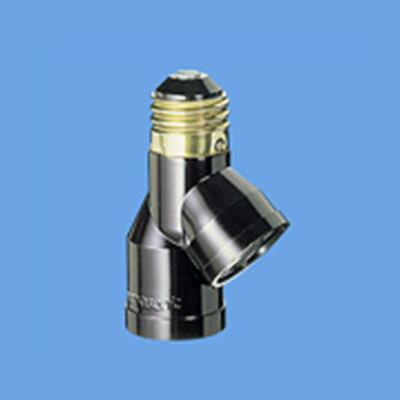 ト型クラスト <WH>