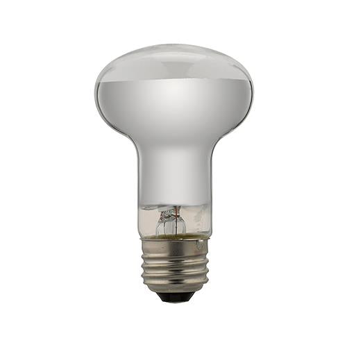 レフ電球 長寿命 口金E26 <RF100110VL>