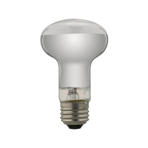 レフ電球 <RF100V>