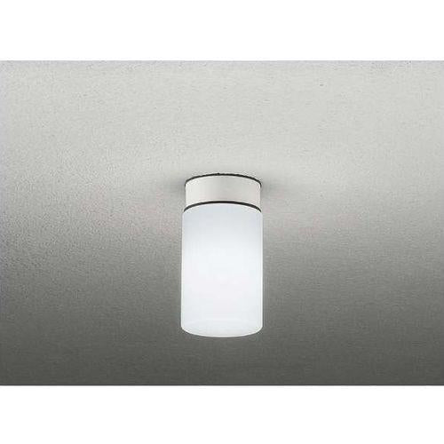 LED浴室灯 クリアパッケージタイプ