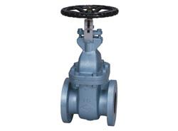 ゲートバルブ <J10-FSF>