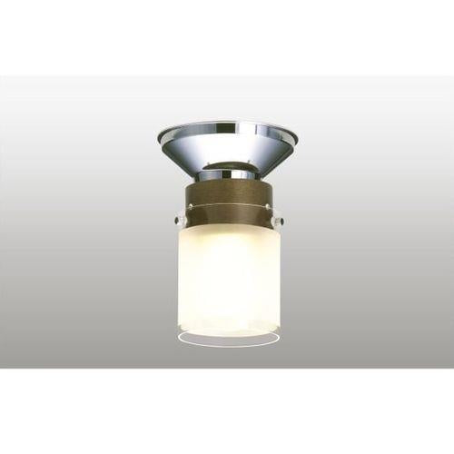 LED 小型シーリングライト