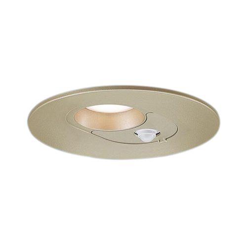 ダウンライト <LRDC>