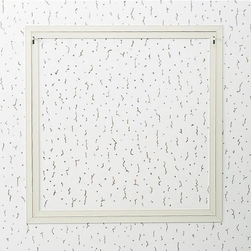 天井くん―W <BTW>