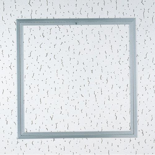 天井くん―F2 <BTF2>