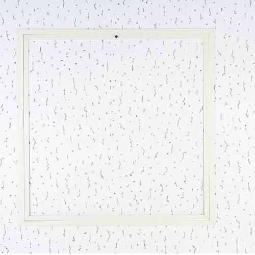 天井くん―F2W <BTF2W>