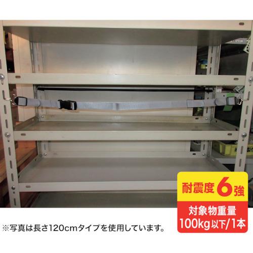 SANWA 落下ストッパーフック式 90センチ