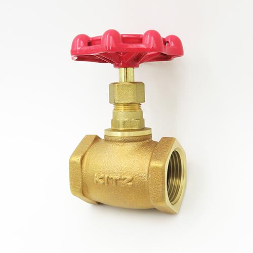 汎用バルブ グローブ <A 100>