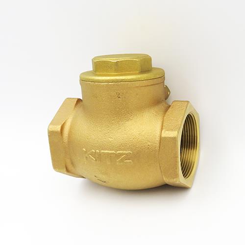 汎用バルブ スイングチャッキ <R 125>