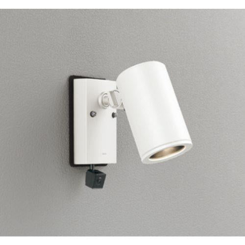 エクステリアスポットライト 人検知カメラ付