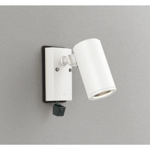 エクステリアスポットライト 人検知カメラ付