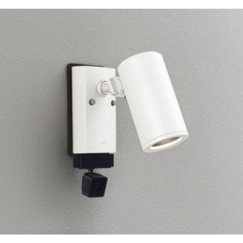 エクステリアスポットライト 顔識別カメラ付